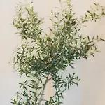 Appartamento Art Of Xenia!maisonette In Chalkidiki!